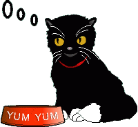 YumYum the cat