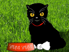 Yum Yum the Cat
