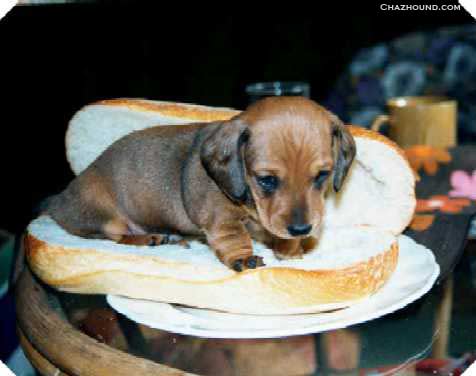 Mario the hot dog