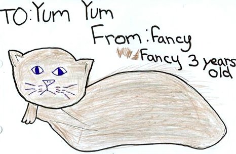Fancy