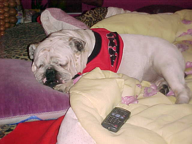 900 channels and nothing to watch