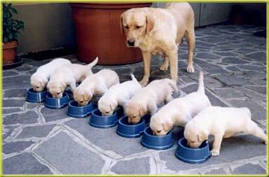 Mama made breakfast