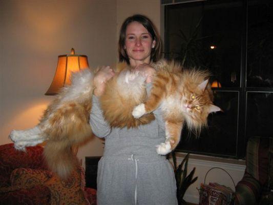 love at first glance