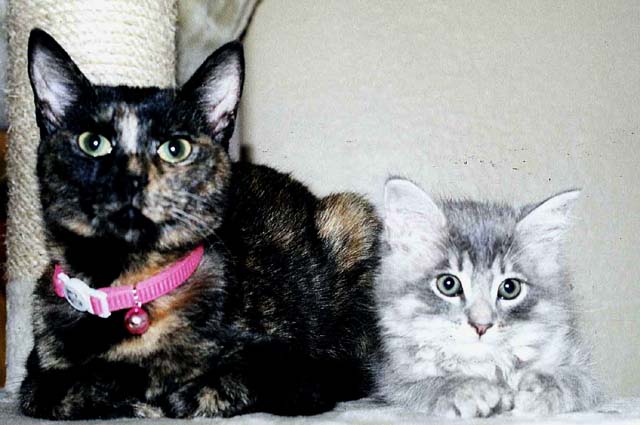 Momo and Oliver, partners in crime