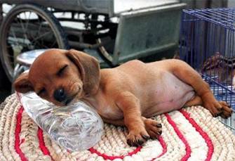 A Gruelling Day