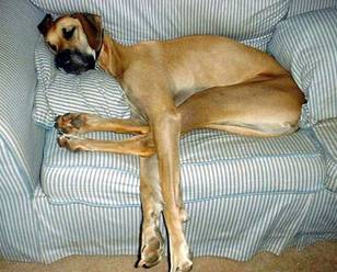 Wake me when dinner is ready!