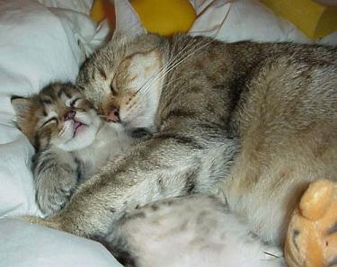 Having a Slumber Party